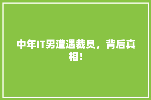 中年IT男遭遇裁员，背后真相！