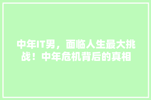 中年IT男，面临人生最大挑战！中年危机背后的真相 神马SEO