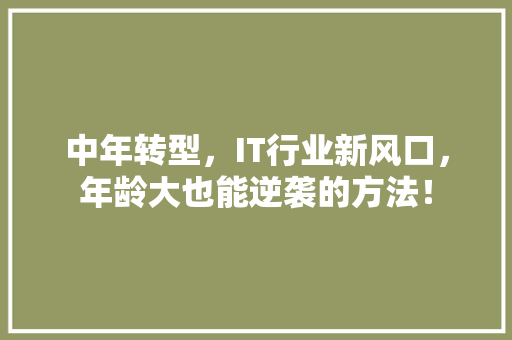 中年转型，IT行业新风口，年龄大也能逆袭的方法！ 必应SEO