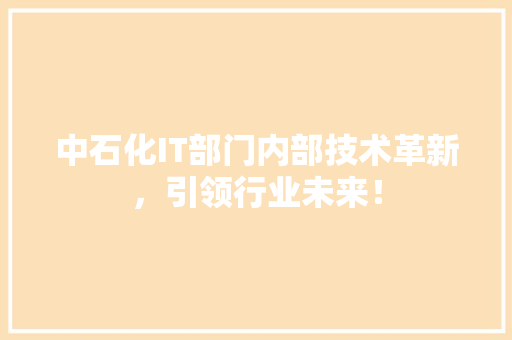 中石化IT部门内部技术革新，引领行业未来！ GoogleSEO