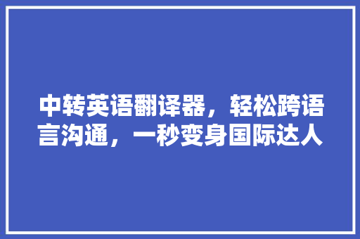 中转英语翻译器，轻松跨语言沟通，一秒变身国际达人！ GoogleSEO
