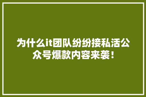为什么it团队纷纷接私活公众号爆款内容来袭！ 搜狗SEO