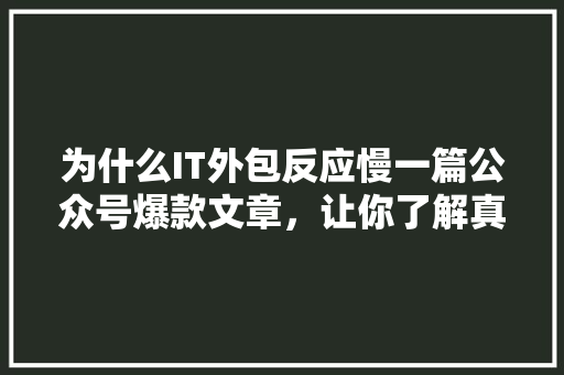 为什么IT外包反应慢一篇公众号爆款文章，让你了解真相！
