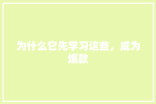 为什么它先学习这些，成为爆款 必应SEO