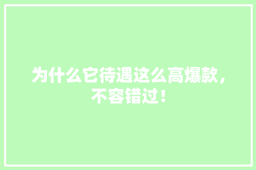 为什么它待遇这么高爆款，不容错过！ 百度SEO