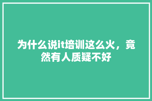 为什么说it培训这么火，竟然有人质疑不好 必应SEO