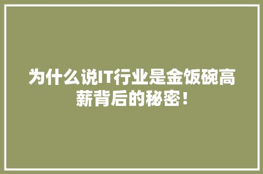 为什么说IT行业是金饭碗高薪背后的秘密！ 搜狗SEO