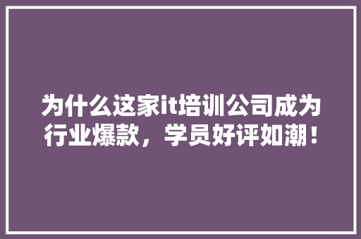 为什么这家it培训公司成为行业爆款，学员好评如潮！ 神马SEO