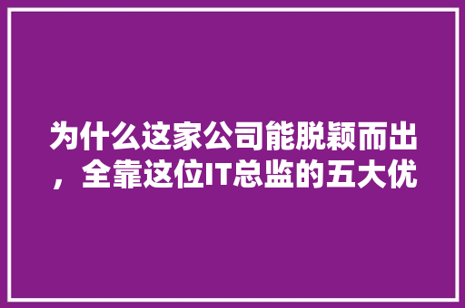为什么这家公司能脱颖而出，全靠这位IT总监的五大优势 搜狗SEO