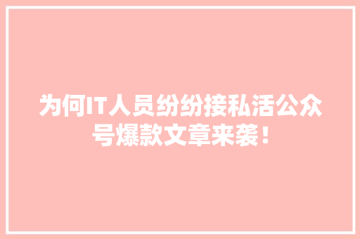 为何IT人员纷纷接私活公众号爆款文章来袭！ 必应SEO