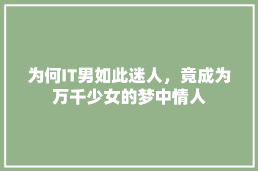 为何IT男如此迷人，竟成为万千少女的梦中情人 神马SEO