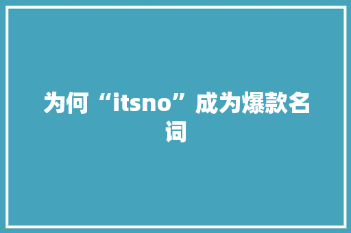 为何“itsno”成为爆款名词 百度SEO