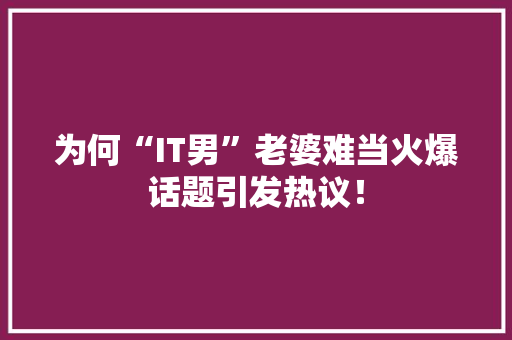 为何“IT男”老婆难当火爆话题引发热议！ 百度SEO