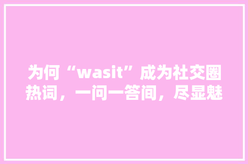 为何“wasit”成为社交圈热词，一问一答间，尽显魅力 神马SEO