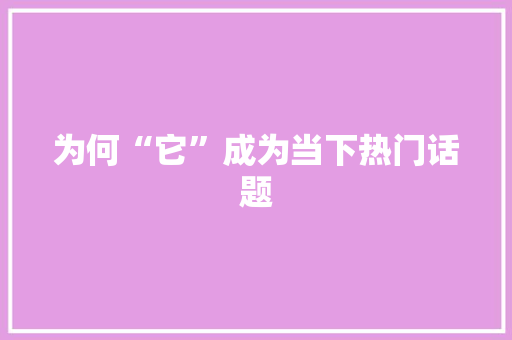 为何“它”成为当下热门话题 GoogleSEO