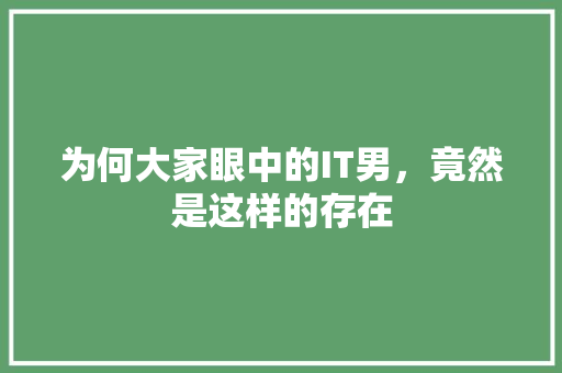 为何大家眼中的IT男，竟然是这样的存在 必应SEO