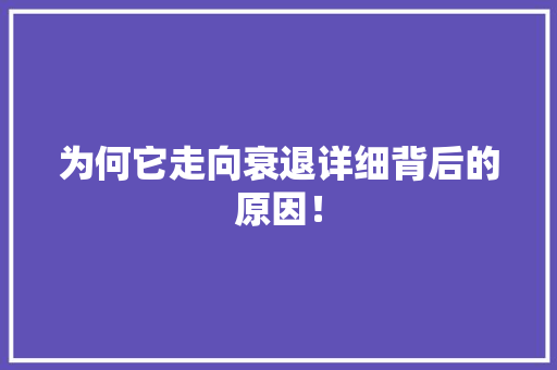 为何它走向衰退详细背后的原因！ 搜狗SEO