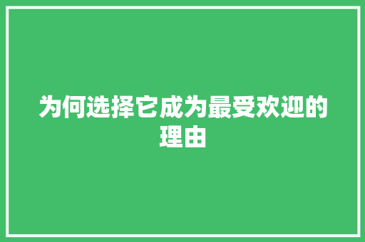 为何选择它成为最受欢迎的理由