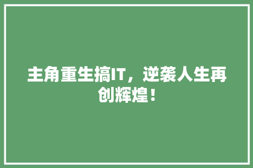 主角重生搞IT，逆袭人生再创辉煌！ 神马SEO
