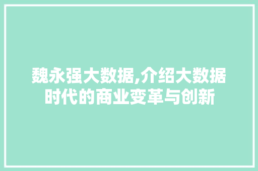 魏永强大数据,介绍大数据时代的商业变革与创新