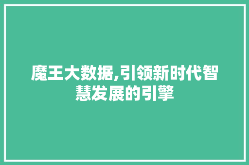 魔王大数据,引领新时代智慧发展的引擎