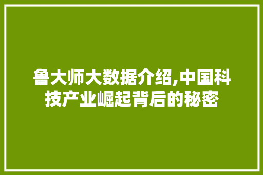 鲁大师大数据介绍,中国科技产业崛起背后的秘密 GoogleSEO