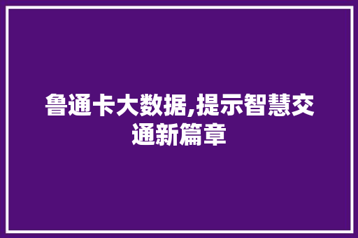 鲁通卡大数据,提示智慧交通新篇章 GoogleSEO