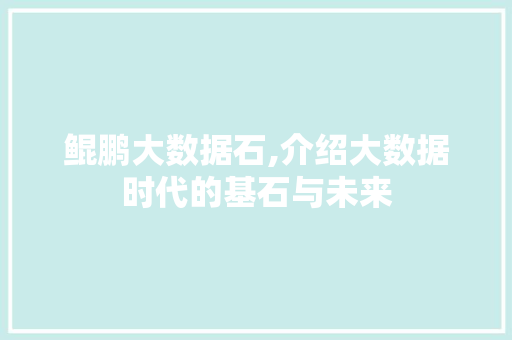 鲲鹏大数据石,介绍大数据时代的基石与未来