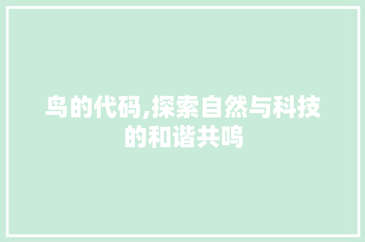 鸟的代码,探索自然与科技的和谐共鸣