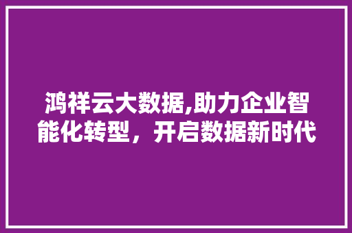 鸿祥云大数据,助力企业智能化转型，开启数据新时代