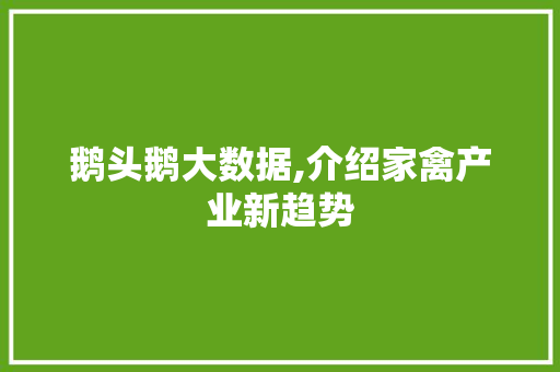 鹅头鹅大数据,介绍家禽产业新趋势