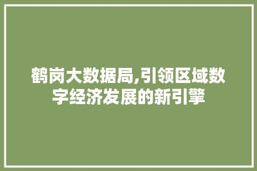 鹤岗大数据局,引领区域数字经济发展的新引擎