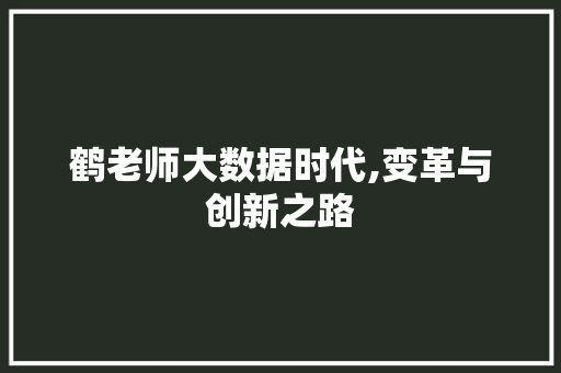 鹤老师大数据时代,变革与创新之路