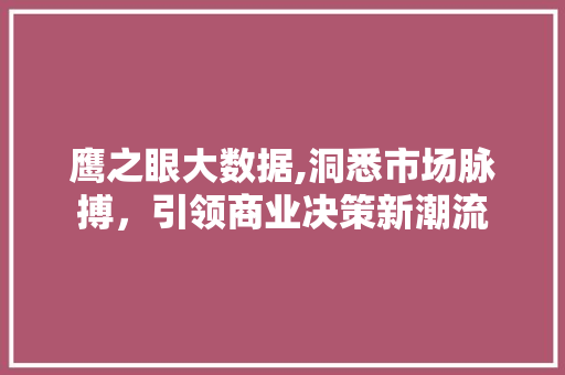 鹰之眼大数据,洞悉市场脉搏，引领商业决策新潮流