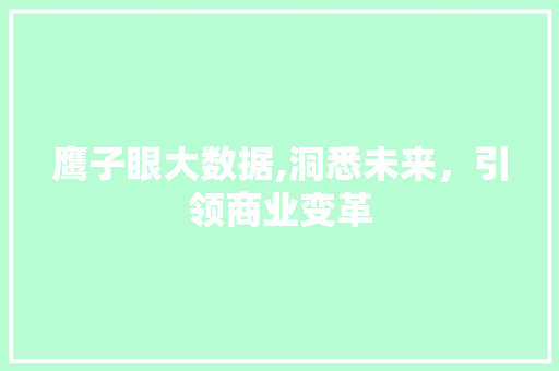 鹰子眼大数据,洞悉未来，引领商业变革