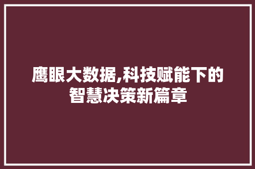 鹰眼大数据,科技赋能下的智慧决策新篇章