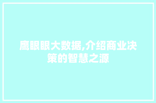 鹰眼眼大数据,介绍商业决策的智慧之源