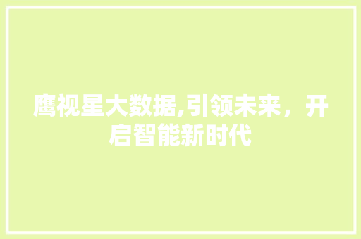 鹰视星大数据,引领未来，开启智能新时代