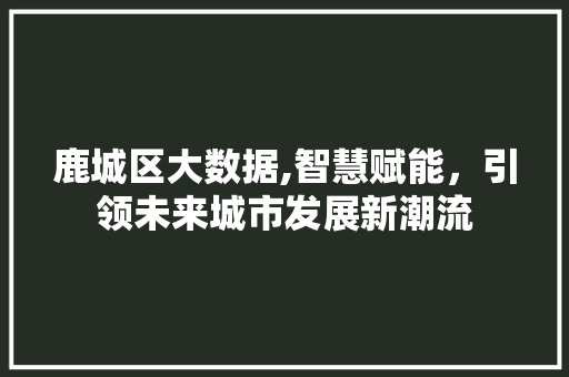 鹿城区大数据,智慧赋能，引领未来城市发展新潮流
