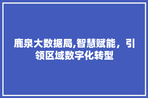 鹿泉大数据局,智慧赋能，引领区域数字化转型