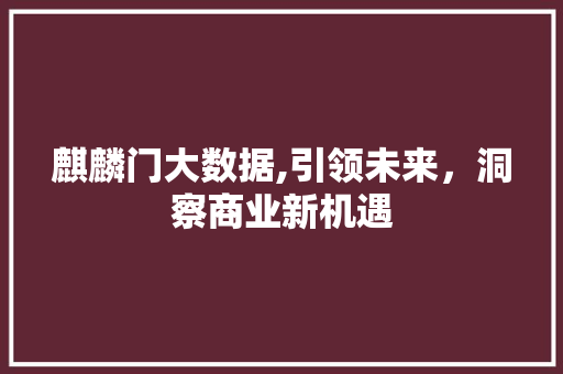 麒麟门大数据,引领未来，洞察商业新机遇