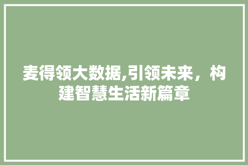 麦得领大数据,引领未来，构建智慧生活新篇章
