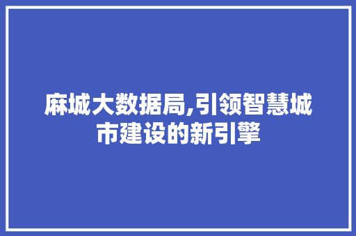 麻城大数据局,引领智慧城市建设的新引擎