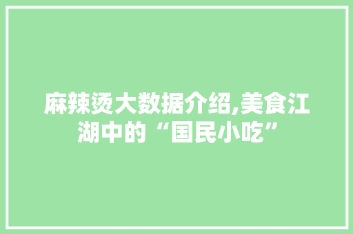 麻辣烫大数据介绍,美食江湖中的“国民小吃”