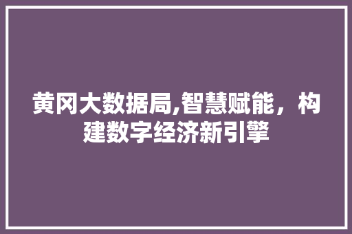 黄冈大数据局,智慧赋能，构建数字经济新引擎