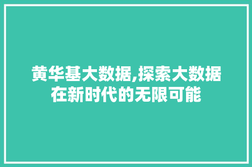 黄华基大数据,探索大数据在新时代的无限可能