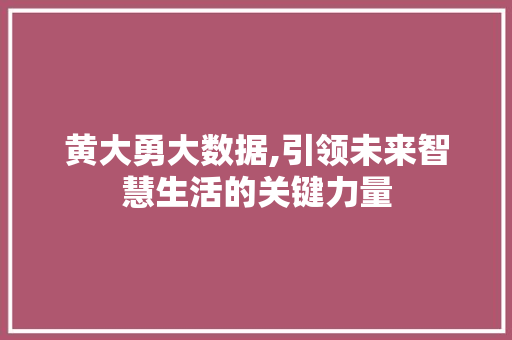 黄大勇大数据,引领未来智慧生活的关键力量