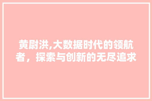 黄尉洪,大数据时代的领航者，探索与创新的无尽追求