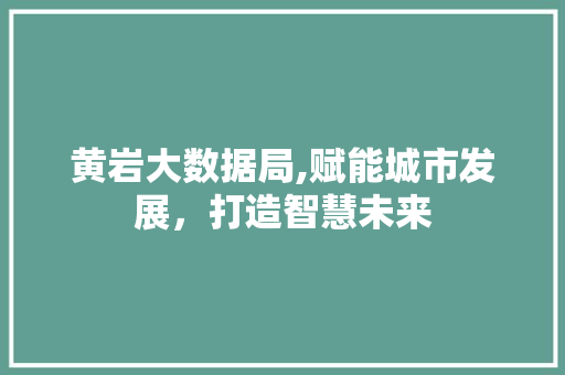 黄岩大数据局,赋能城市发展，打造智慧未来