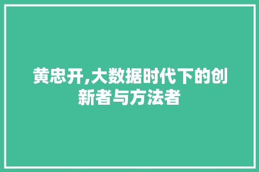 黄忠开,大数据时代下的创新者与方法者